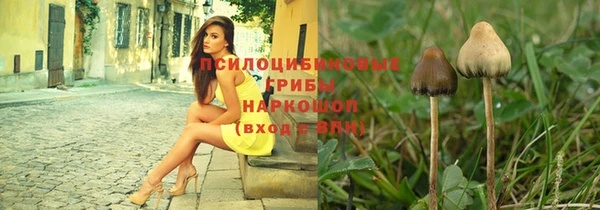 круглые Алексеевка