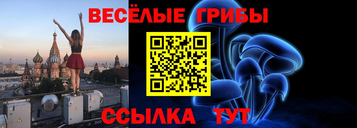 Казань  Галлюциногенные грибы мухоморы  Вход с VPN 
